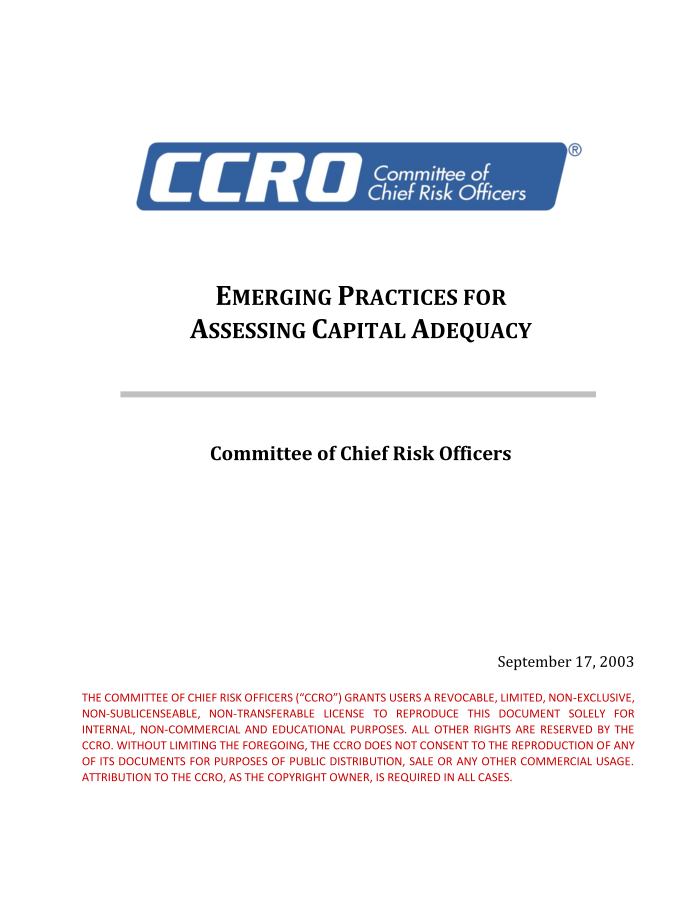 Emerging Practices for Assessing Capital Adequacy