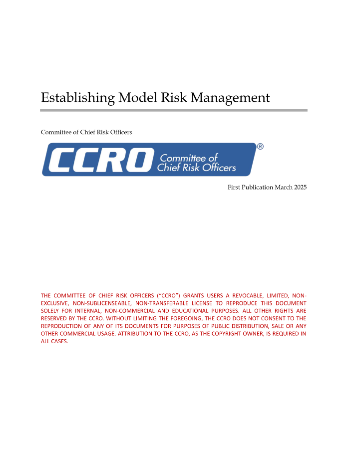 First Edition Model Risk Management Paper